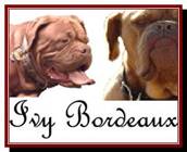 Description: https://ivybordeaux.com/pet%20contract_clip_image002.jpg